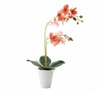 Risveglio Realistico doppio per orchidea a stelo 39 cm fiore artificiale in