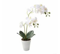 Risveglio Realistico doppio per orchidea a stelo 39 cm fiore artificiale in