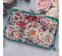 RisyPisy 360 Pezzi retrò Floreali Adesivi Set, Vari Adesivi Botanici a Forma Speciale, Floreali Stickers per Artigianato Fai-da-Te, Pianificatori, Diario, Notebook, Laptop, Cellulare, Calendari