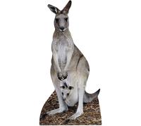 Ritagli di stelle tagliate fuori dal canguro