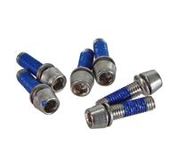 Ritchey Stem Wcs C220 Ricambio Brandeggio Acciaio Set Bulloni Argento