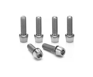 Ritchey titanium stem bolt set c220 stem silver 6 viti