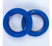 Guarnizioni Albero Motore POLINI Ptfe / Fkm Piaggio Gilera per Moto Ricambi Moto