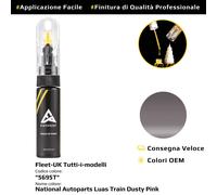 Ritocco per Fleet UK Cod: 5695T National Autoparts Luas Train Dusty Pink