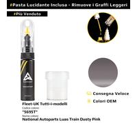 Ritocco per Fleet UK Codice: 5695T National Autoparts Luas Train Dusty Pink