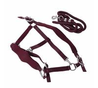 RiToEasysports Cavezza per Cavallo, Cavezza da Addestramento Regolabile con Guinzaglio da 2 M per Passeggiate Quotidiane, Jogging e Addestramento del Cavallo, (Borgogna)