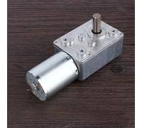 RiToEasysports Motore in Ingranaggio DC 12V a Vermi DC 12V Ad Alta Coppia per Apri di Finestre e Porte, Motore Elettrico CW/CCW (62rpm)