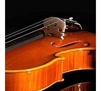 RiToEasysports Ponte per Violino in Acero, Set da 5 per Studenti, Accessorio Finemente Realizzato con Linea Trasparente, Dimensioni 3/4, 1/2, 1/8, /4, Materiale in Acero (Set di cinque tastiere per