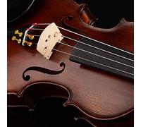 RiToEasysports Ponte per Violino in Acero, Set da 5 per Studenti, Accessorio Finemente Realizzato con Linea Trasparente, Dimensioni 3/4, 1/2, 1/8, /4, Materiale in Acero (Set di cinque scale per