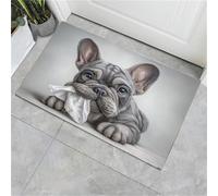 Ritratti di animali Zerbino Ingresso Interno Antiscivolo, Tappeto Ingresso Lavabile In Lavatrice, Tappeto Interno, Tappetos Esterno Rimozione Della Polvere,Modello Bulldog,40 x 60 cm