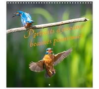 Ritratti d'oiseaux des beautés plumeuses (Calendrier mural carré 2026 30 x 60 cm (ouvert)) Calendrier double avec une page pour vos prises de notes