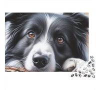 Ritratto di Border Collie Puzzle da 1000 pezzi Border Collie Testa di Border Collie a riposo per giochi educativi per adulti Bellissima decorazione Difficile Sfida Compleanno 52x38cm