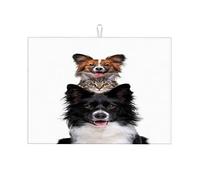 Ritratto di due cani e un gatto ammucchiati verticalmente Immagine Scolapiatti per il bancone della cucina Tappetino scolapiatti Divertente Cucina Grande 18 X 24 pollici