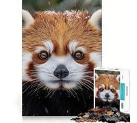 Ritratto di panda rosso nella neve invernale Puzzle da 1000 pezzi per adulti Gioco stimolante per la casa Taglio liscio Sorpresa di Natale (50x75cm)
