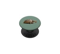 Ritratto di una giovane tartaruga selvatica isolato PopSockets PopGrip Adesivo