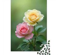 Ritratto floreale di rosa Puzzle Illustrazione botanica di una rosa 1000 Pezzi Cartone Di Alta Qualità Per Adulti, Stimolante Tempo Libero, Regalo Natale Esclusivo Decorazione Murale 52x38cm/1000pcs