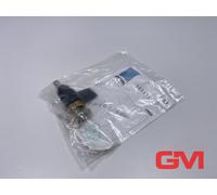 Rittal Maniglie In Plastica SZ 2485.000 Chiusura Nr. 3524 E