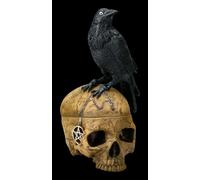 Rituale Teschio Cofanetto Con Crow - Salems Familiar - Figura Decorativa Strega