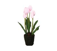 Rituali Domestici Anna, zolla tulipano fucsia, taglia L Anna, zolla tulipano fucsia, taglia L