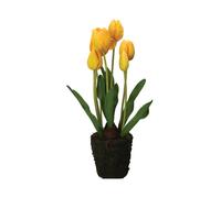 Rituali Domestici Anna, zolla tulipano giallo, taglia L Anna, zolla tulipano giallo, taglia L