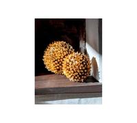 Rituali Domestici Millepensieridoro, sfera piccola da appendere con petali oro Ø 14 CM Millepensieridoro, sfera piccola da appendere con petali oro Ø 14 CM