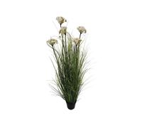 Rituali Domestici Piantala, finocchio selvatico in vaso, taglia L Piantala, finocchio selvatico in vaso, taglia L