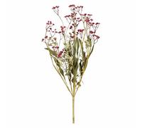 rituali domestici Tanaceto Rosso Quelmazzolindifiori