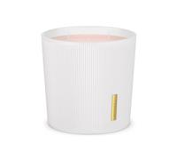 RITUALS Candela Profumata di The Ritual of Sakura - con Fiori di Ciliegio Dolce e Latte di Riso - Fragranza a lunga durata - Fino a 70 ore di combustione - 1 x 840g