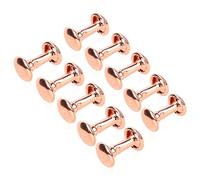 Riuulity 100 Set di Rivetti in Pelle Ad Alta Durezza, Processo di Galvanoplastica a Forte Lucentezza per Spallacci, Album Fotografici Sottili (ferro 2)