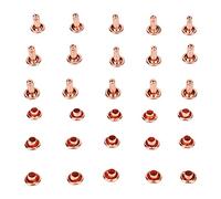 Riuulity 100 Set di Rivetti in Pelle Ad Alta Durezza, Processo di Galvanoplastica a Forte Lucentezza per Spallacci, Album Fotografici Sottili (ferro)