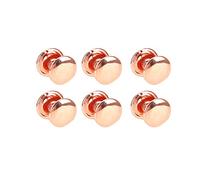 Riuulity 100 Set di Rivetti in Pelle Ad Alta Durezza, Processo di Galvanoplastica a Forte Lucentezza per Spallacci, Album Fotografici Sottili (ferro 4)