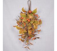 Riuulity Artificiale di Raccolta a Goccia Colorata per la Decorazione della Porta, Perfetta per L'autunno 19,7 Pollici (122.00)