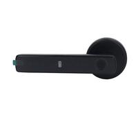 Riuulity Blocco Password Professionale per Impronte Digitali a Semiconduttore per Porte Interne, Riconoscimento Rapido delle Impronte Digitali per flessibilità in Ufficio, Materiale in Lega di