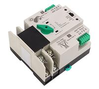 Riuulity Interruttore di Trasferimento Automatico Durevole Ed Efficiente per L'alimentazione Continua in Asili Nido e Case, AC220V, Design 2P (63A)
