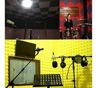 Riuulity Pannelli Murali per Trattamenti da Studio Perfetti per il Controllo Acustico, la Riduzione del Rumore, la Riduzione degli Echi Svolazzanti, L'assorbimento della Piramide di Spugna, il