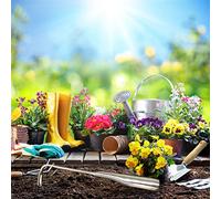 Riuulity Sarchiatore a Forma di V Robusto Strumento da Diserbo con Design Ergonomico per Scavare Facilmente Il Terreno e Rimuovere Le Erbacce Regalo per Gli Appassionati di Giardinaggio Argento