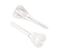 Riuulity Set di Chiavi Magiche con Esclusivo Espediente Pieghevole per Trucchi con la Chiave nella Bottiglia, Ideale per i Maghi, Metallo, 7,7x2,8 Cm, Include 2 Chiavi