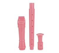 Riuulity Set Flauto e Clarinetto per Principianti con Asta di Pulizia per Bambini Strumento Musicale Facile da Imparare per la Scuola Materna e la Scuola Elementare in Multi Colori (PINK)