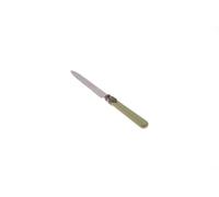 Rivadossi Sandro 1606COT06 Set di Coltelli da Tavola, 6 Pezzi-Classic-100% Made in Italy, Artigianalità e Design, Acciaio Inox 18/10, Verde Salvia