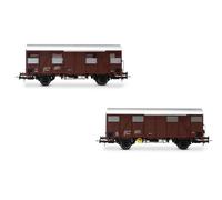 Rivarossi FS 2-UNIT PACK Gs WAGONS WALLS MADE FROM WOODEN PLANKS EP.IV 1:87