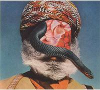 River Into Lake - Let the Beast Out