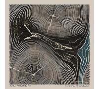 NEEDTOBREATHE Rivers in the Wasteland (Vinyl LP)