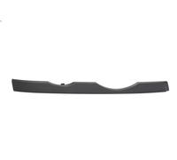 Rivestimento dei fari BLIC 6502-07-0095212P BMW X5 (E53) 3 2000-2006