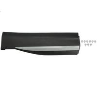 Rivestimento della porta BLIC 5703-04-7802575P per MG HS (AS23) 1.5 2018-