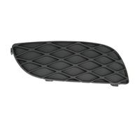 Rivestimento, paraurti BLIC 6502-07-8109916P destro