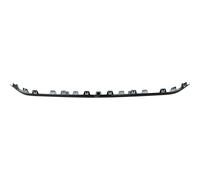 RIVESTIMENTO PARAURTI POSTERIORE Mercedes W246, ACCESSORI