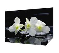 Rivestimento Parete 152x104 cm Autoadesiva per Soggiorno e Camera da letto Decorazione della Parete Antimacchia Stampa di Alta Qualità Montaggio Murale - Fiori e pietre