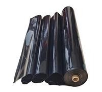 Rivestimento per laghetto in HDPE, spessore 0,12 mm, resistente ai raggi UV e alle intemperie, membrana flessibile per stagni koi, acqua, giardini, fontane, dimensioni: 2 x 10 m, 3 x 4 m, 6 x 8 m, 8 x