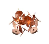 Rivetti a disco in rame per tetto in ardesia, 20 mm di lunghezza x 0,4 mm di spessore, resistenti alla corrosione, previene il sollevamento del vento, confezione da 20, 50, 100, 250 e 1000 (20, rame)