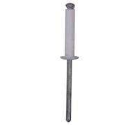 Rivetti A Estremità Aperta Da 4 X 20 Mm